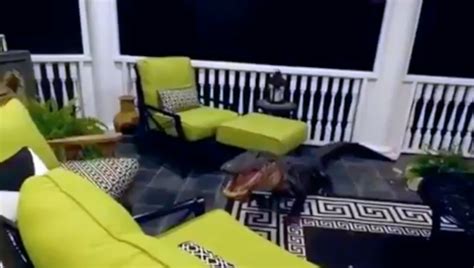 Yikes: 9-foot alligator climbs to 2nd-story porch of Lowcountry home ...