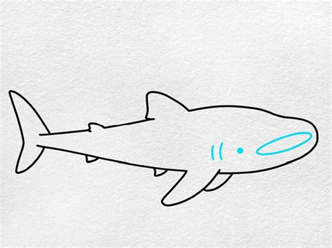 25 Easy Shark Drawing Ideas - How to Draw a Shark