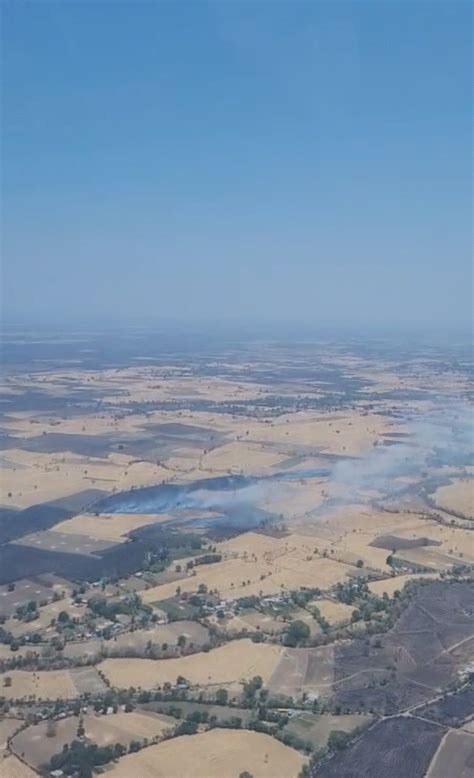 MP Stubble Fires: Aerial Survey Reveals Burning Fields Despite Ban