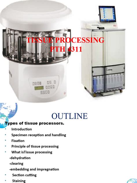 Tissue Processing in Histopathology 的图像结果