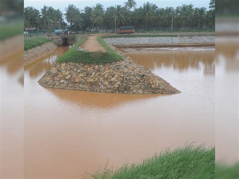 Bengaluru: Fishing in city's lakes is not illegal, but it is toxic!