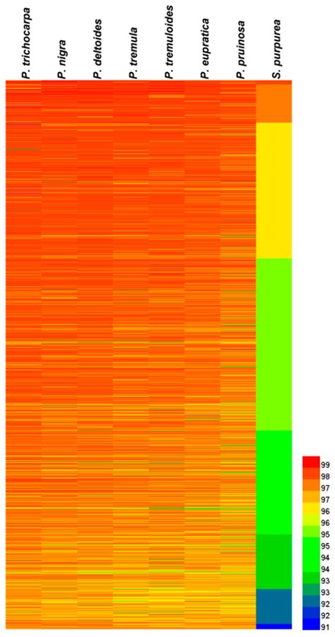 Comparative Genome and Transcriptome Analysis Reveals Gene Selection ...
