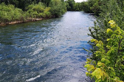 Image result for River Table Project