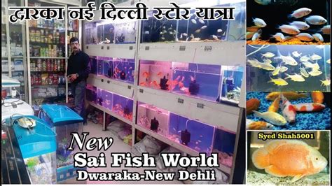 fish aquarium sector 11 dwarka