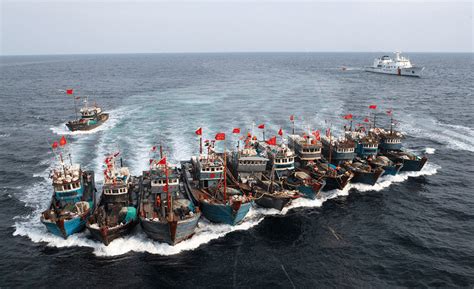 The Menace of IUU Fishing: Time to Act | SAMDES INDIA'S BLOG