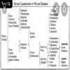 1. With the help of flow charts classify the following-a. Phylum ...