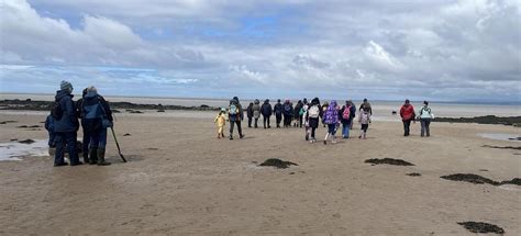 Geology Walk around Half Moon Bay, Half Moon Bay, Lancaster, 25 April ...