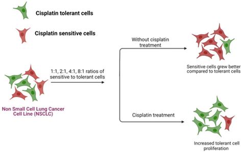 A Systems Biology Approach for Addressing Cisplatin Resistance in Non ...