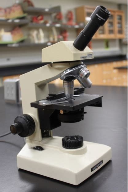 Image result for Lab Week Microscope