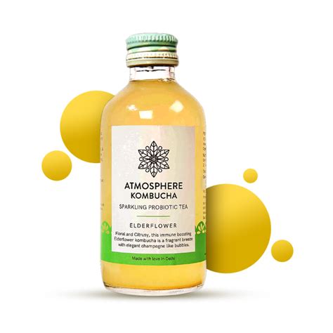 Kombucha & Kefir – Atmosphere Wellness