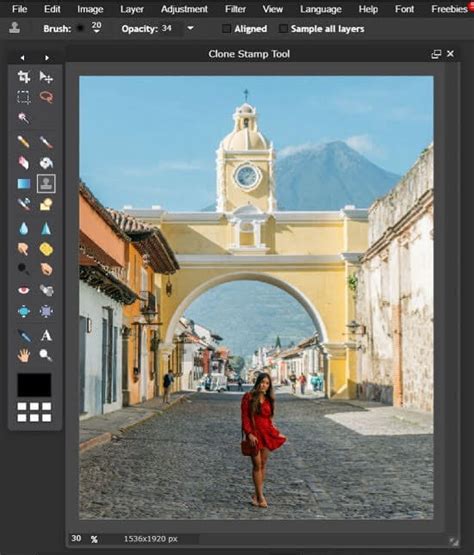 Image result for Pixlr Editor Basic