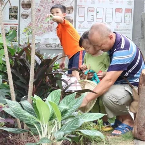 社区共建花园，让深圳居民共享美好“花漾生活”_媒体宣传