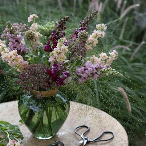 Buy Summer nights 'cutting garden collection': Delivery by Waitrose Garden