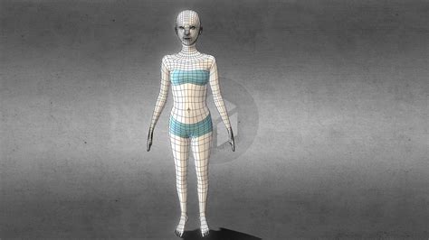 Image result for Basic Human Model