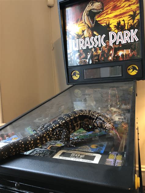 When Dinosaurs Ruled the Earth!! | Tegu Talk