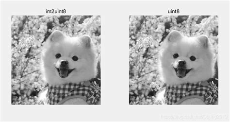 Image result for Double MATLAB