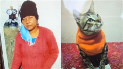 Heartbroken by death of pet cat; cat lady who kept dead cat for two ...