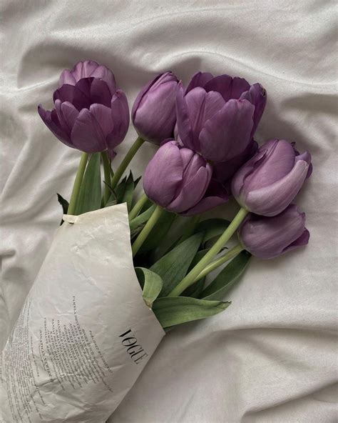 Pin by Katie on all the things | Purple flowers, Purple tulips, Tulips