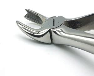 ADDLER DENTAL FORCEP RIGHT MAXILLARY MOLARS. DOUBLE FORGED LIGHT WEIGHT ...