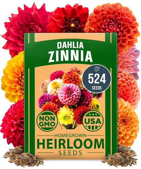 HOME GROWN Zinnia Dahlia Seeds Pack for 2025 – 524 - Flower Seeds ...