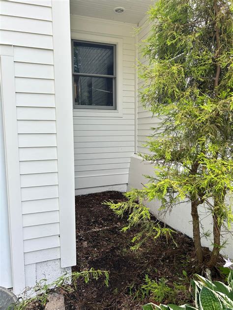 What would you do with this space? Anything? : r/NativePlantGardening