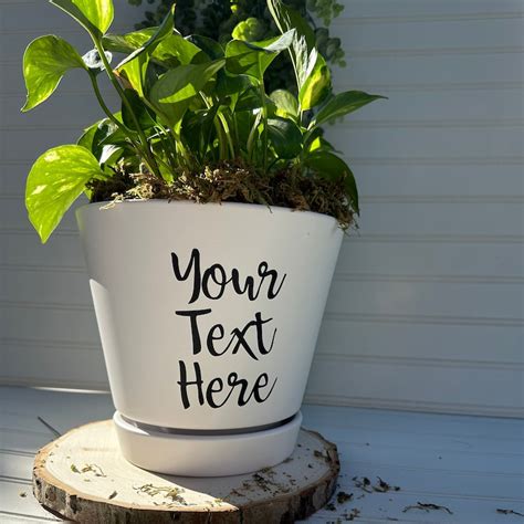 Buy Personalized Planter Online In India - Etsy India
