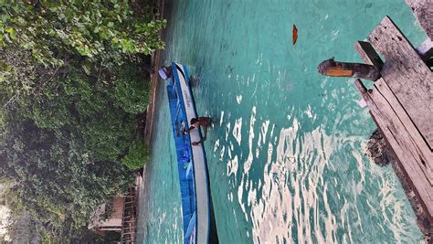 EFENLI ARNES HOMESTAY (Gam Island) - Campground Reviews, Photos, Rate ...