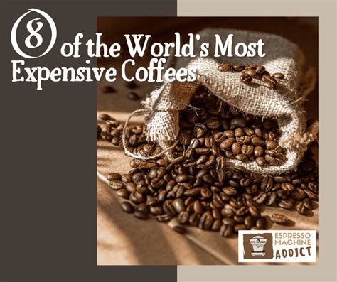 Most Expensive Coffee Machine 的图像结果