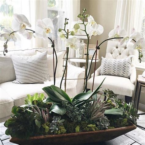 55 Best Orchid Arrangements with Succulents and Driftwood - Decomagz ...