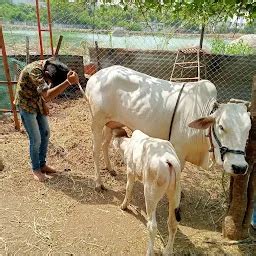 Sri Panduranga Swamy Mandir - Hindu temple - Hyderabad - Telangana ...