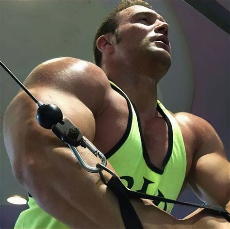 Image result for Pascal Muscle