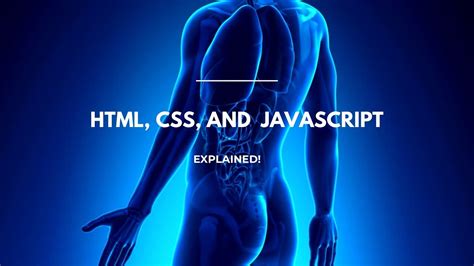 Image result for HTML CSS JavaScript Human Body