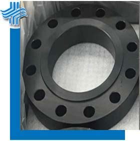 FBE Coated Flanges and Epoxy Lined Carbon Steel Flanges