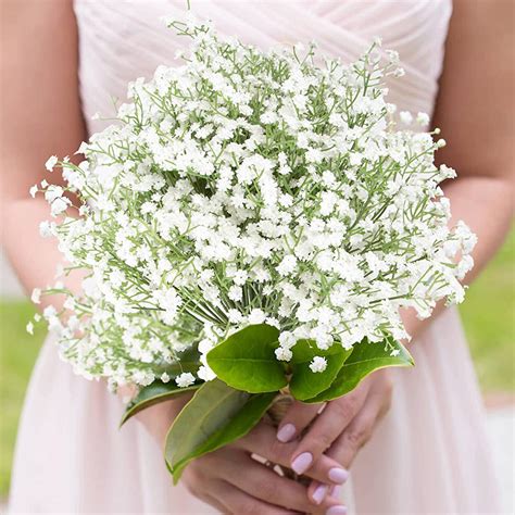 Artificial Baby S Breath Wedding Bouquet at Sandra Raines blog