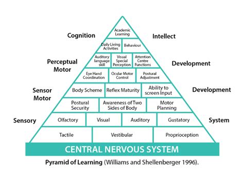 Image result for Learning Pyramid Activities