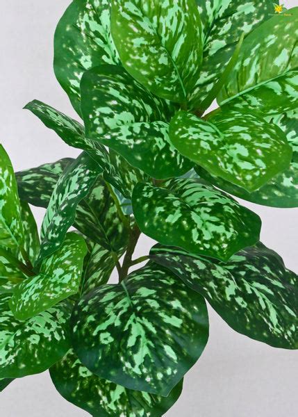 Artificial Aglaonema Plant for Decor | 24 Leaves with Basic Pot | 74.9 ...