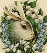Image result for Antique Bunny Illustrations
