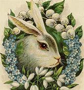 Image result for Bunny in Flowers Vintage