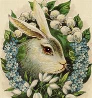 Image result for Vintage Rabbit Illustration Print