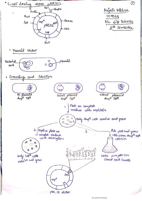 Schematic Overview of a Biotechnology Process 的图像结果