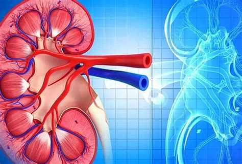 Dr. Vikas Bharati Best Nephrologist In Panvel, Mumbai