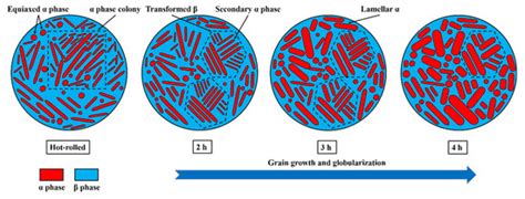 Effect of Aging Treatment on Microstructural Evolution and Mechanical ...