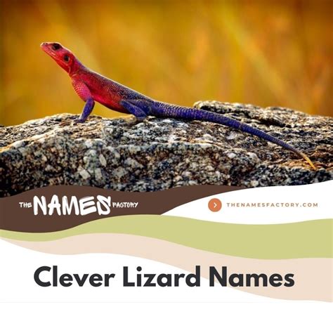 420+ Top Lizard Names That Fit Perfect [Funny, Cute & More]