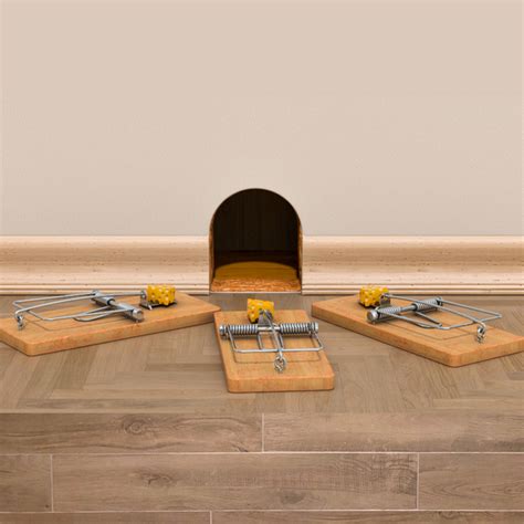 Image result for Setting Mouse Traps Tips