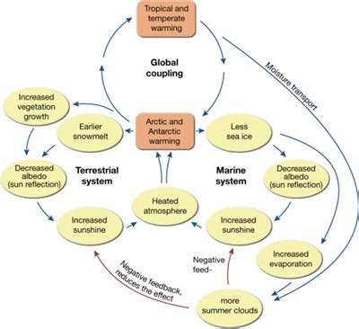 Feedback Loops - Climate Change