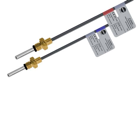 What Is A Temp Probe at Mary Chute blog