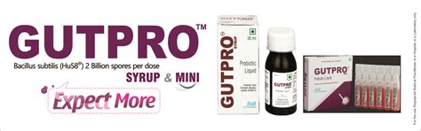 Probiotics Bacillus Subtilis: Overview, Incredients, Usage