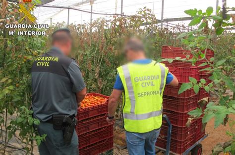 Brussels Bulletin: EFSA tests rice, beans, fruit and vegetables for ...