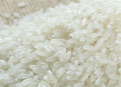 泰国进口碎米供应 broken rice_全球好货源到中国在进出口网