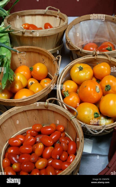 Produce High Resolution Images 的图像结果